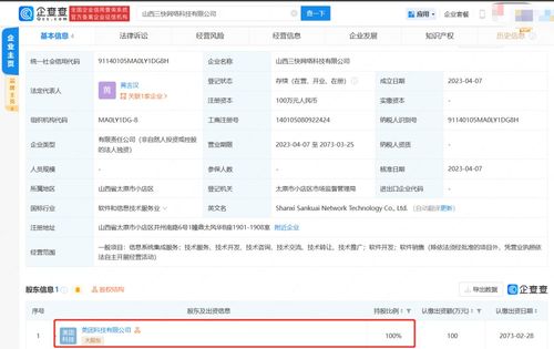 信息系統集成服務 構建數字化未來的關鍵橋梁